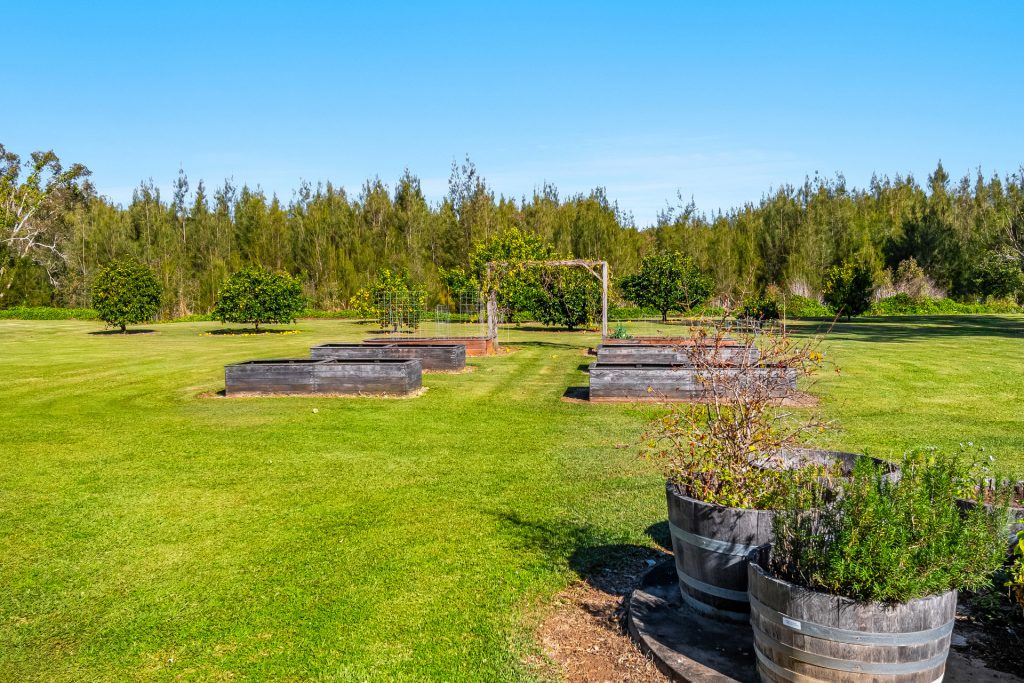334 Ross Lane, Kinvara NSW 2478 - photo 14