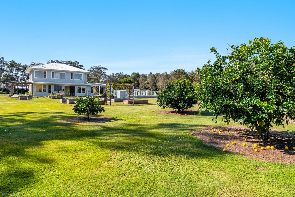 334 Ross Lane, Kinvara NSW 2478 - photo 9