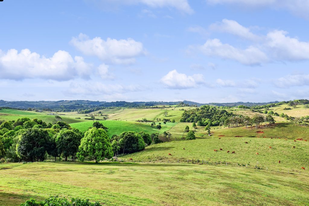 280 Picadilly Hill Road, Coopers Shoot NSW 2479 - photo 20