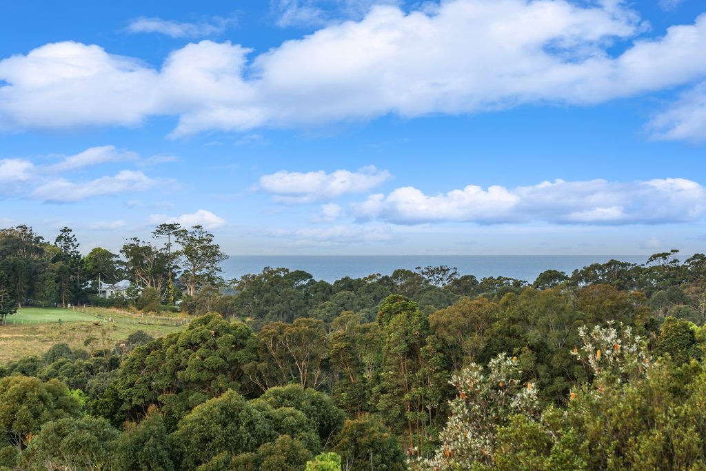 280 Picadilly Hill Road, Coopers Shoot NSW 2479 - photo 27