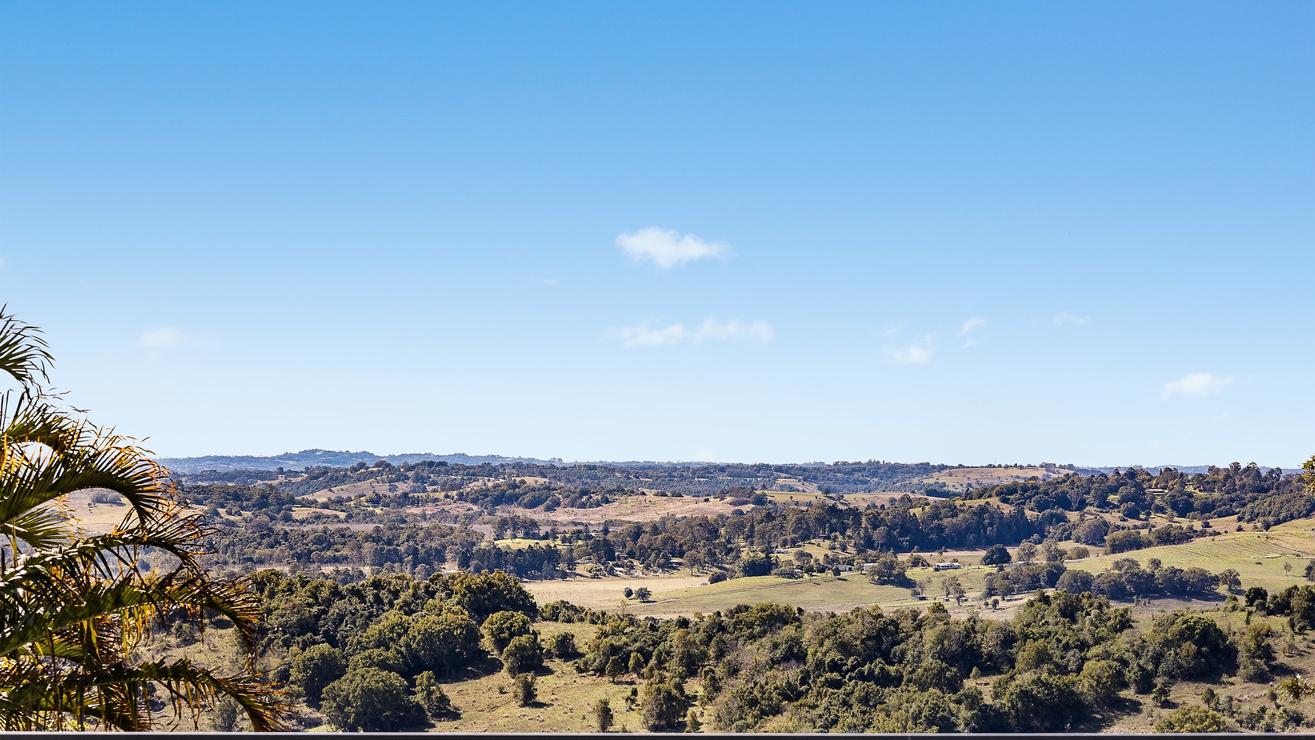Sold - 15 Frederick Street - New Property in Lismore Heights - Real Estate by Bill Johnston