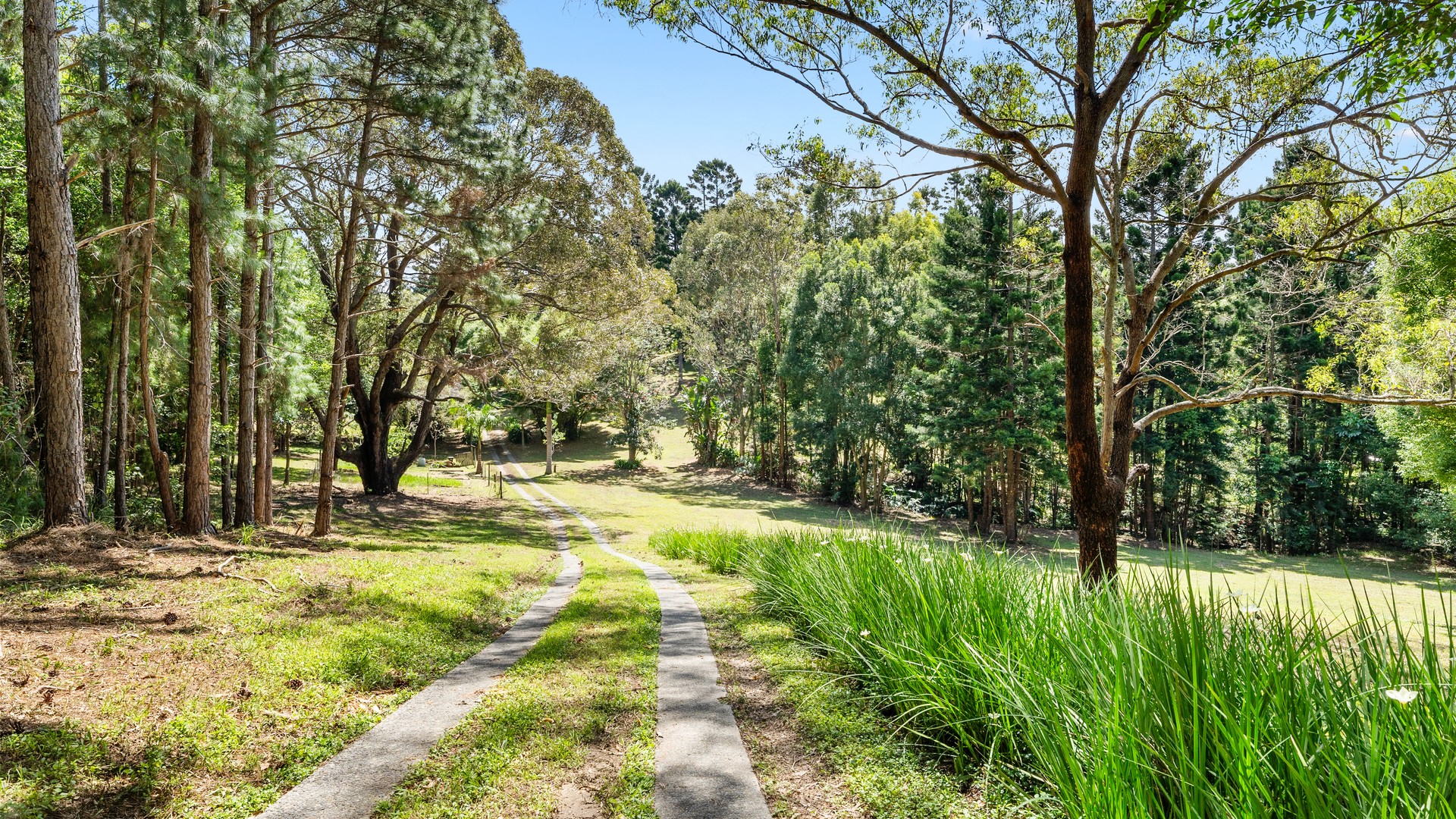 162 Old Bangalow Road, Byron Bay NSW 2481 - photo 5