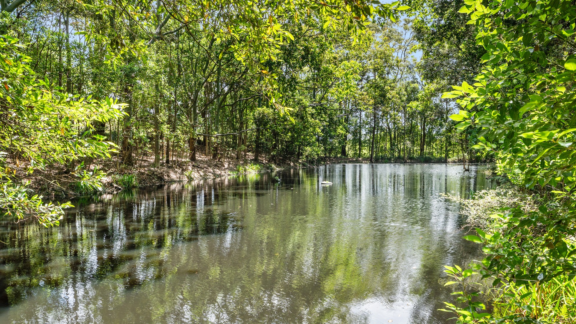 162 Old Bangalow Road, Byron Bay NSW 2481 - photo 6
