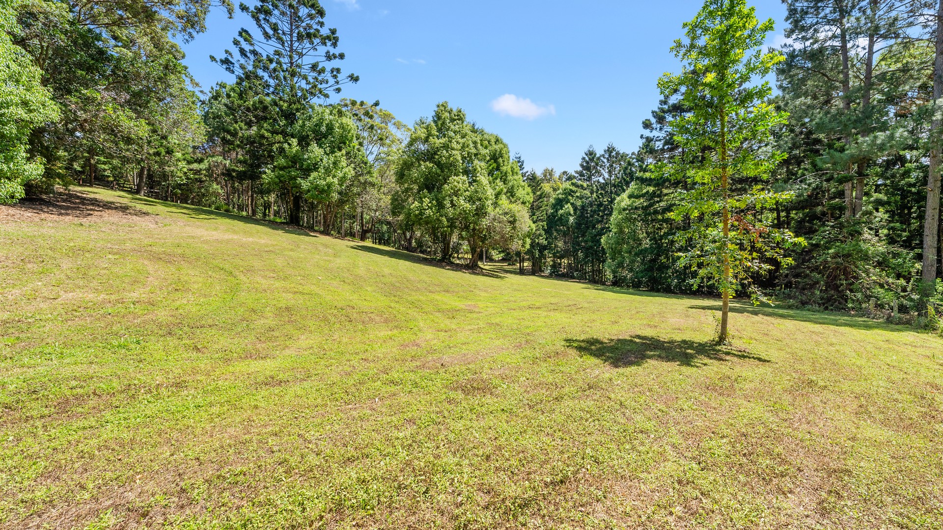 162 Old Bangalow Road, Byron Bay NSW 2481 - photo 7
