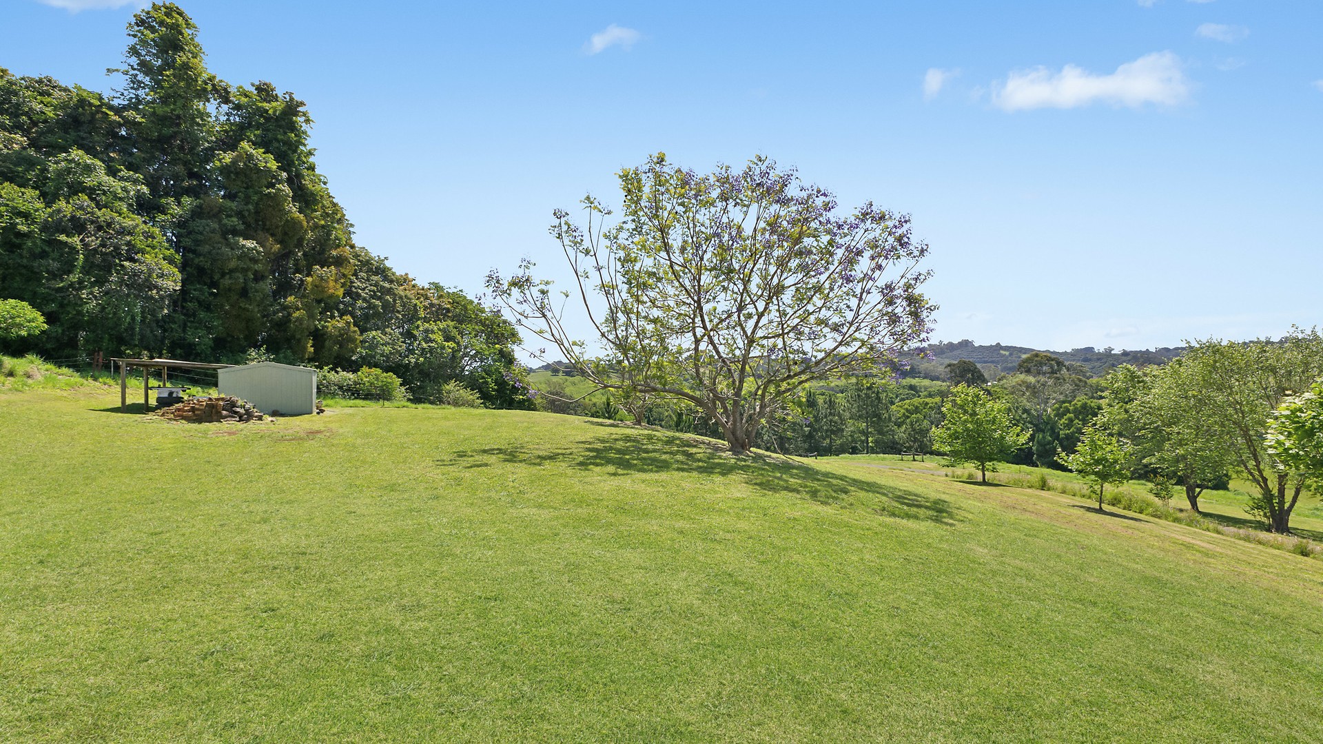 206 Tooheys Mill Road, Fernleigh NSW 2479 - photo 13