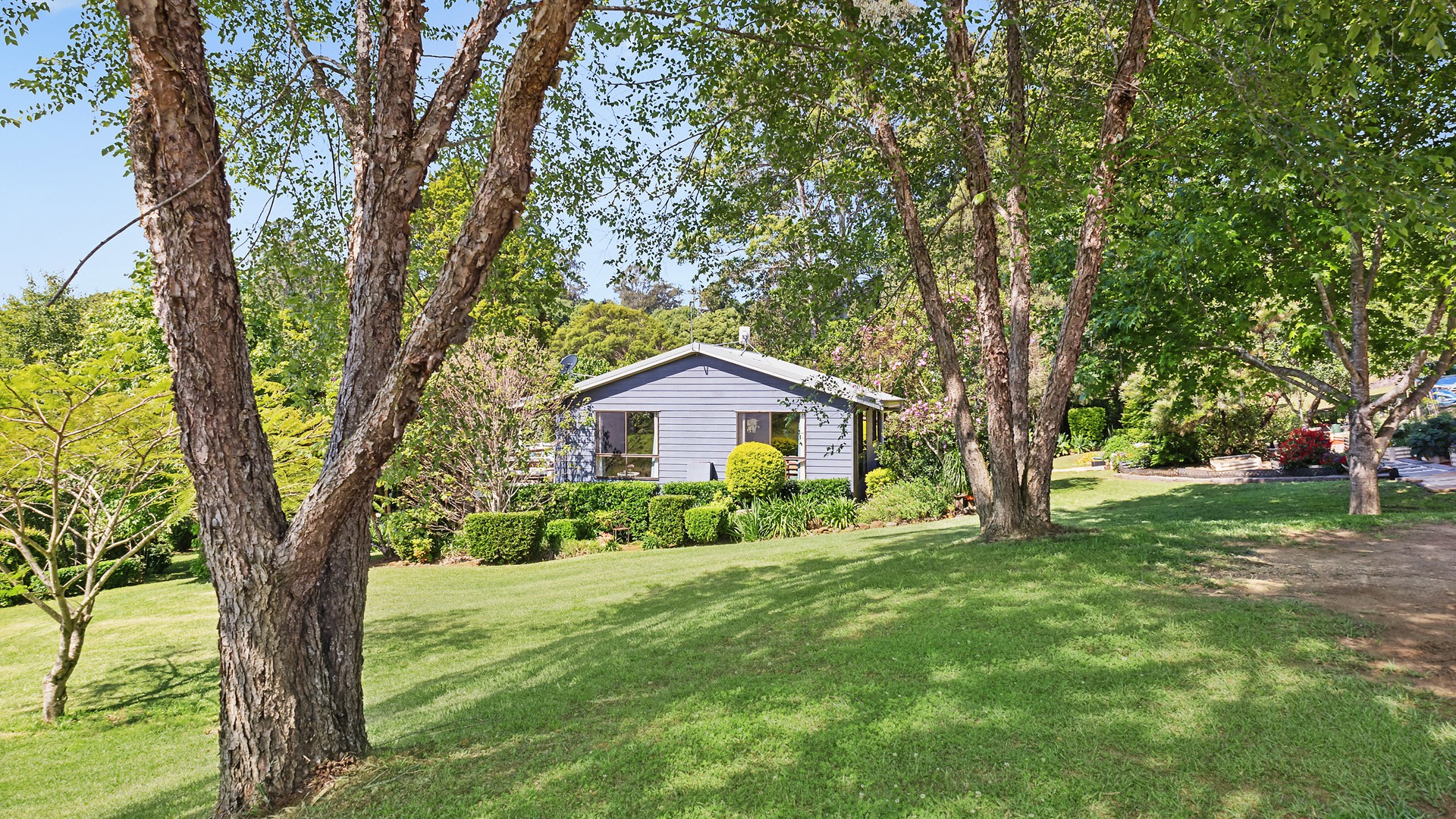 206 Tooheys Mill Road, Fernleigh NSW 2479 - McGrath Northern Rivers Group