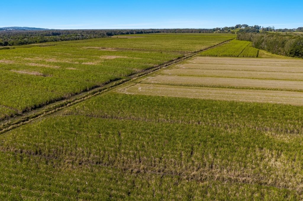 Lot 1 Newrybar Swamp Road, Lennox Head NSW 2478 - photo 5