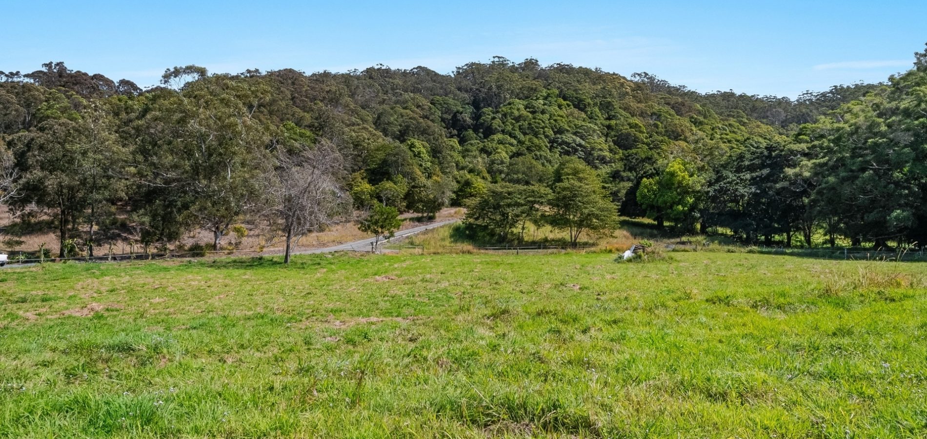 98 Whytes Lane, Pimlico NSW 2478 - photo 22