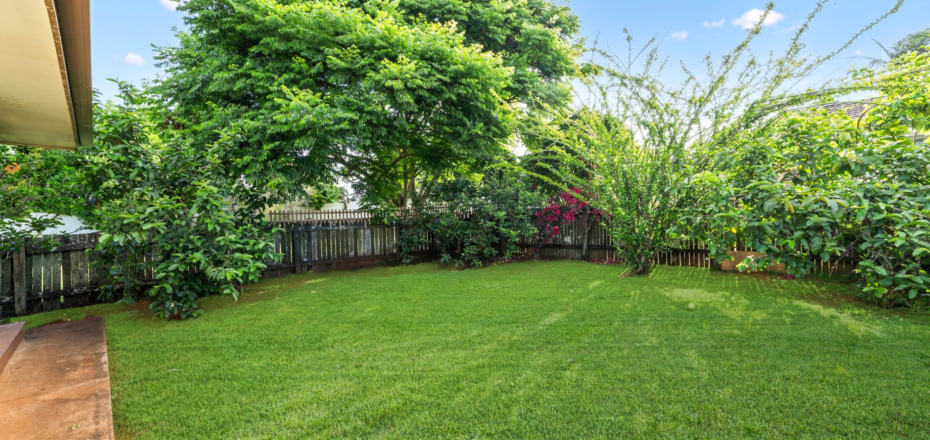 Sold - 24 Norvell Grove - New Property in Alstonville - Real Estate by Shawn Bishop