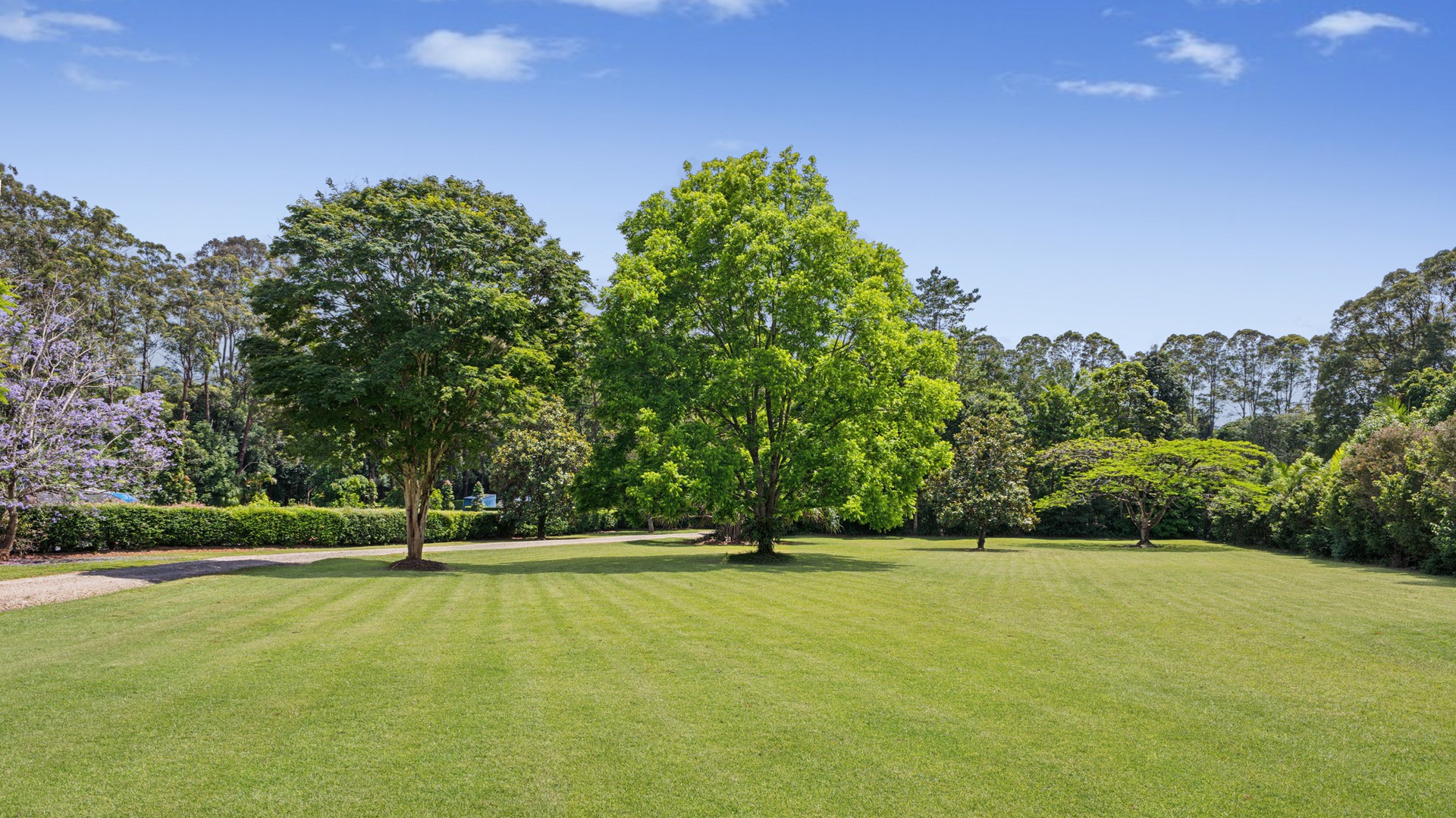 6 Nelson Chase, Tuckombil NSW 2477 - photo 3