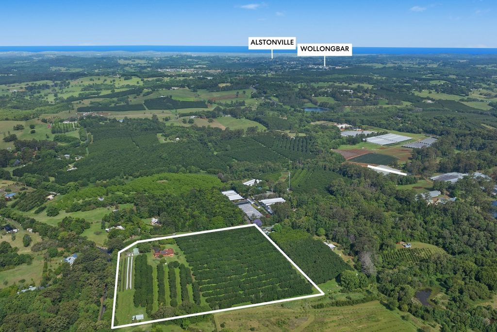 Sold - 1 Soward Close - New Property in McLeans Ridges - Real Estate by Bill Johnston