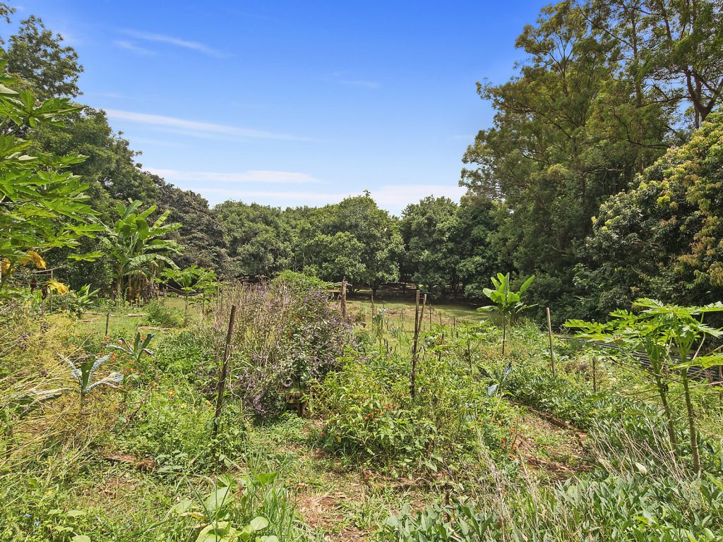 273 Lindendale Road, Lindendale NSW 2480 - photo 16