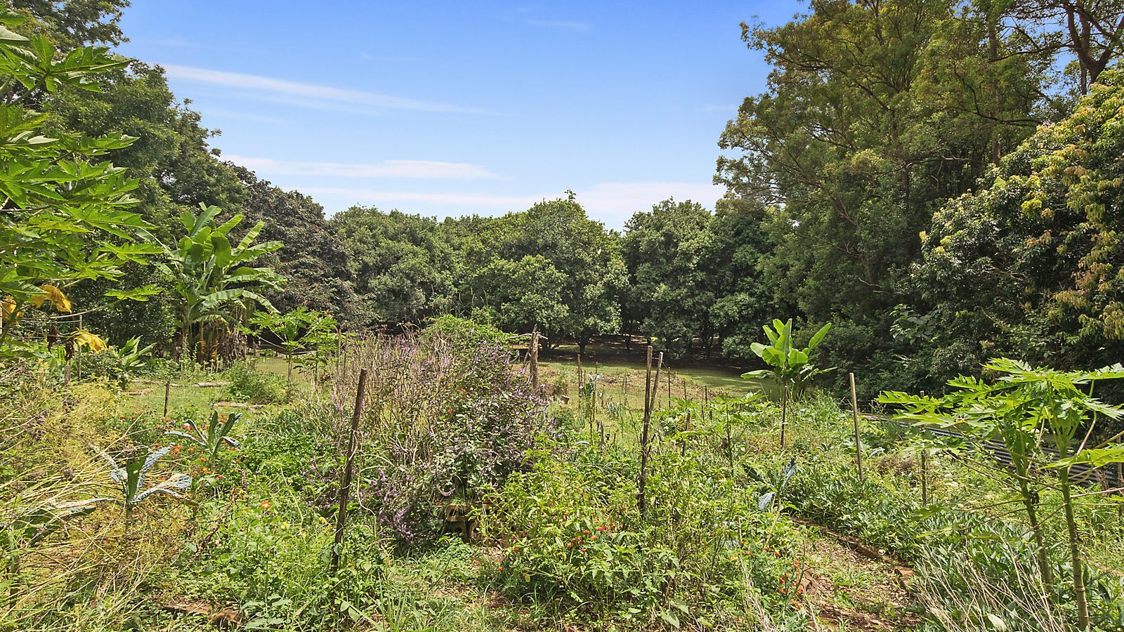 273 Lindendale Road, Lindendale NSW 2480 - photo 16