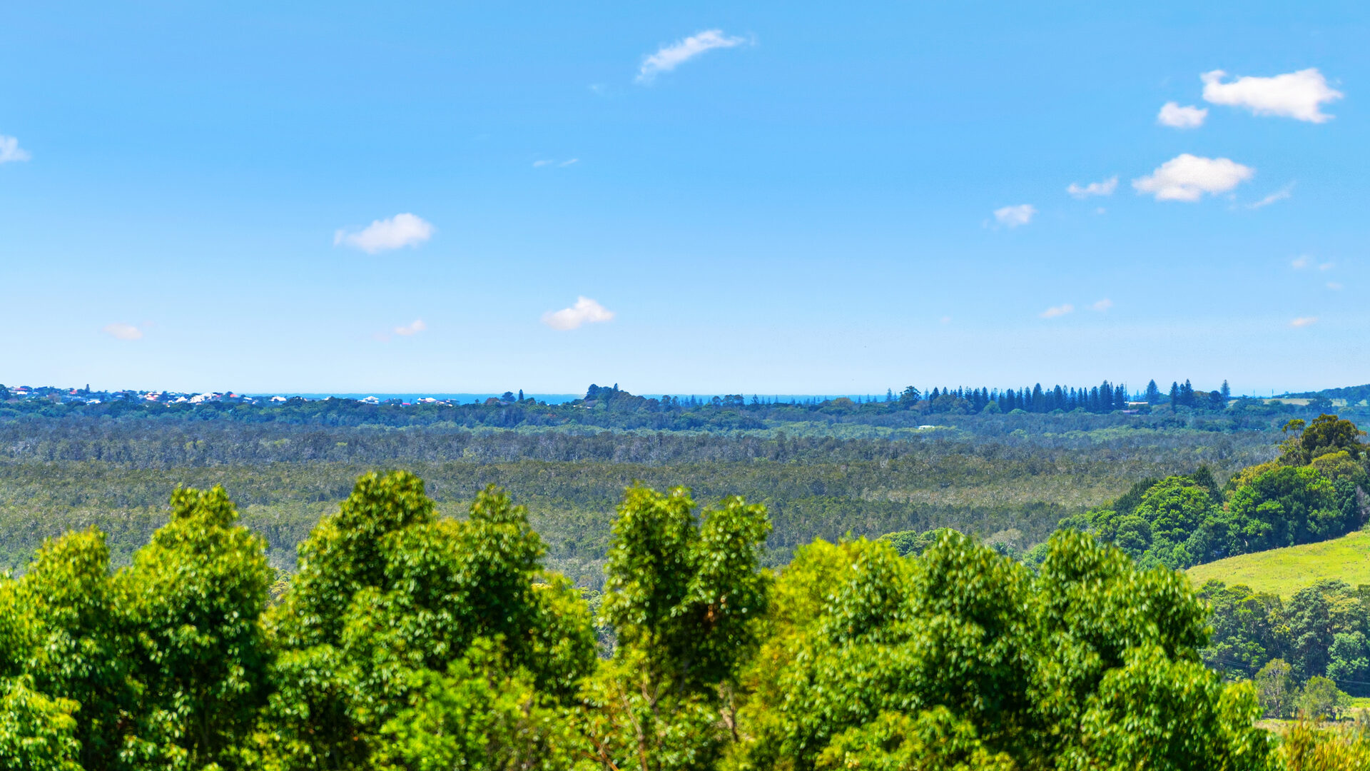 Sold - 808 Tamarind Drive - New Property in Tintenbar - Real Estate by Jamie Marshall