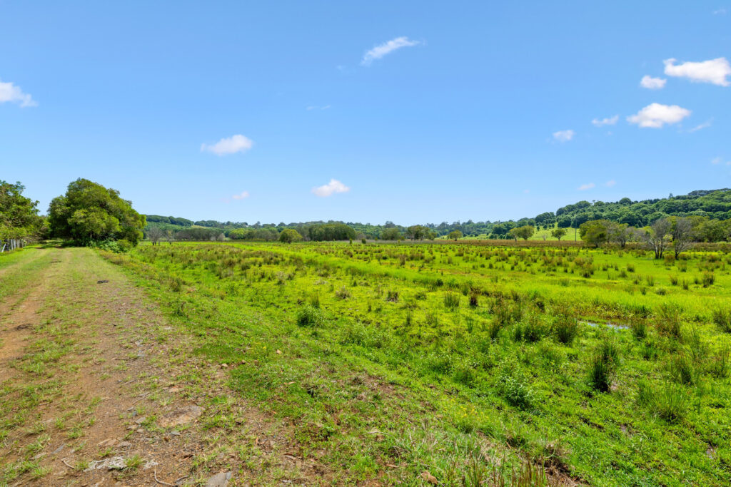 Sold - 808 Tamarind Drive - New Property in Tintenbar - Real Estate by Jamie Marshall