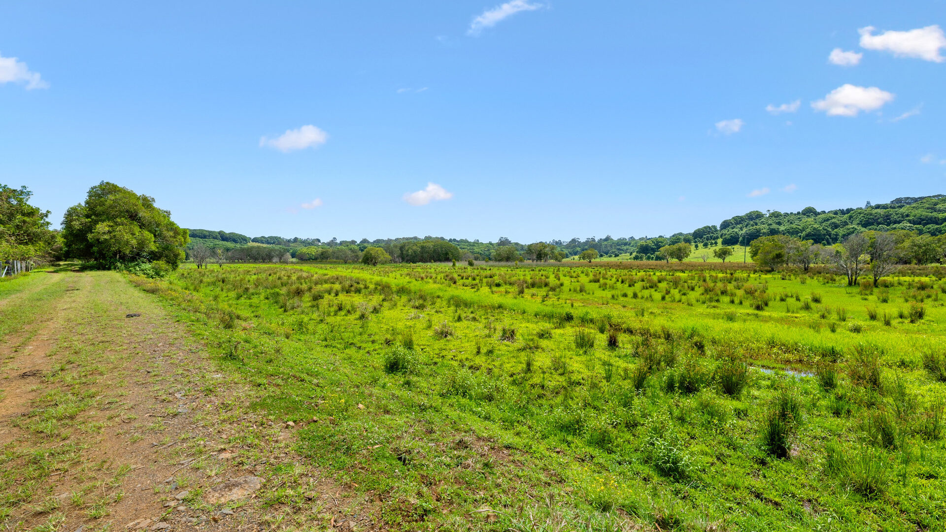 Sold - 808 Tamarind Drive - New Property in Tintenbar - Real Estate by Jamie Marshall