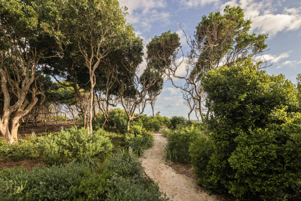 Sold - 8 Border Street - New Property in Byron Bay - Real Estate by Nick Dunn
