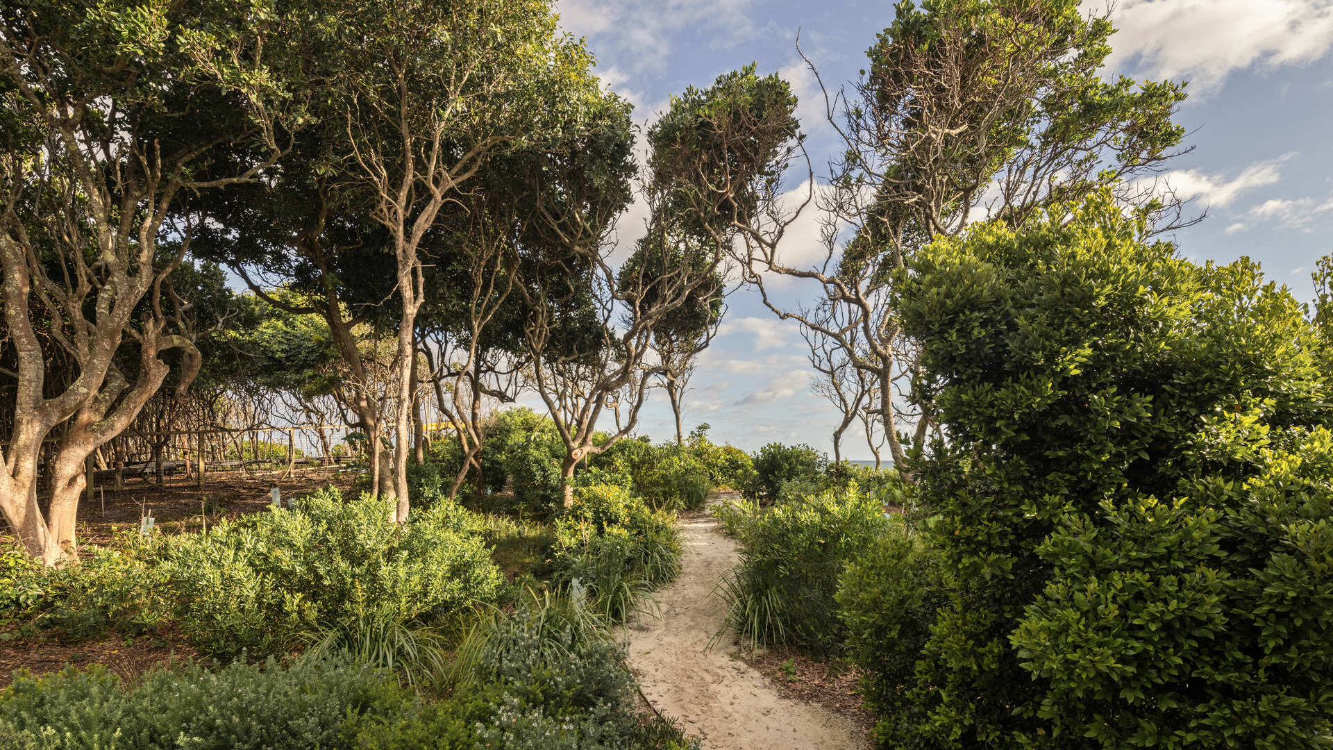 Sold - 8 Border Street - New Property in Byron Bay - Real Estate by Nick Dunn