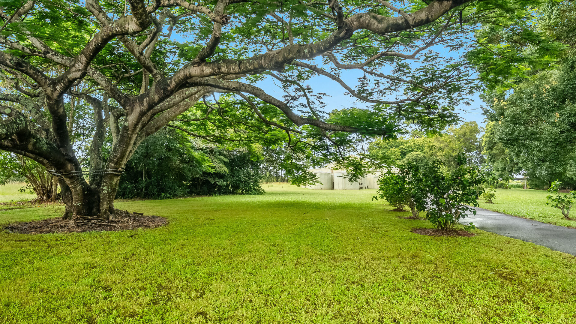 Sold - 698 Uralba Road - New Property in Lynwood - Real Estate by Nick Bordin