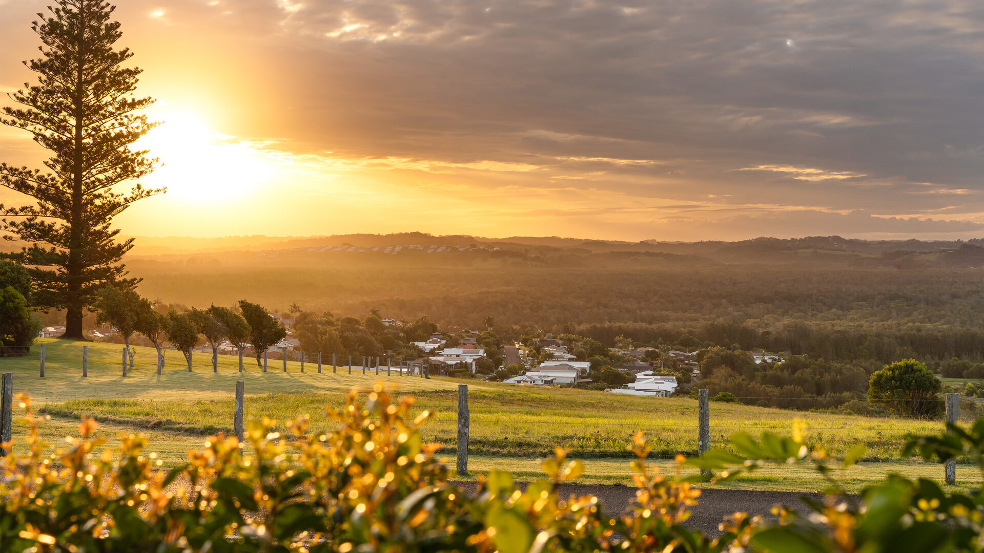Sold - 139 North Creek Road - New Property in Lennox Head - Real Estate by Ryan McFarland