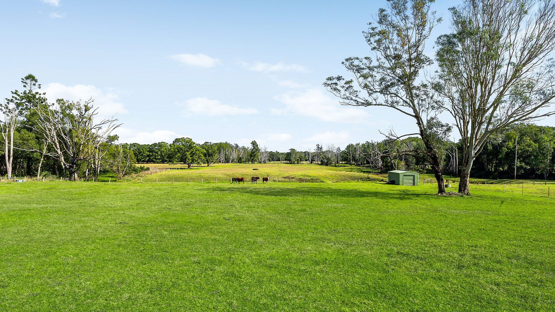 Sold - 874 Boatharbour Road - New Property in Eltham - Real Estate by Bill Johnston