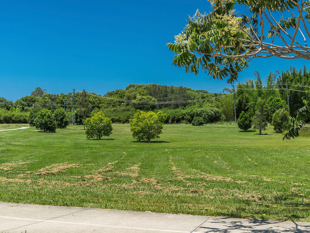 Sold - 16 Cockatoo Crescent - New Property in Mullumbimby - Real Estate by Heidi Last