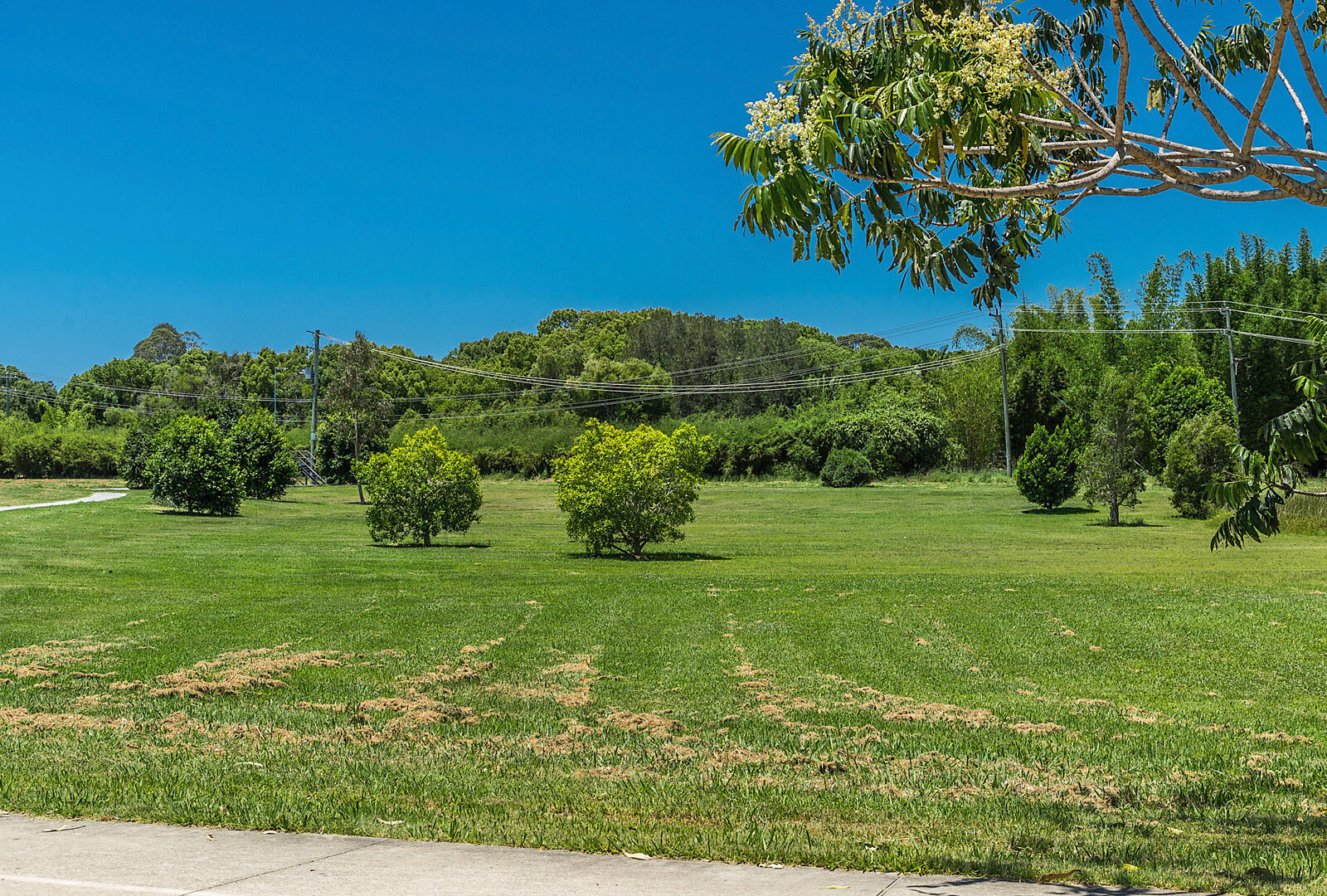 Sold - 16 Cockatoo Crescent - New Property in Mullumbimby - Real Estate by Heidi Last