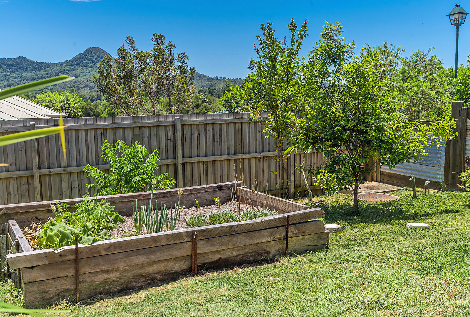 Sold - 16 Cockatoo Crescent - New Property in Mullumbimby - Real Estate by Heidi Last