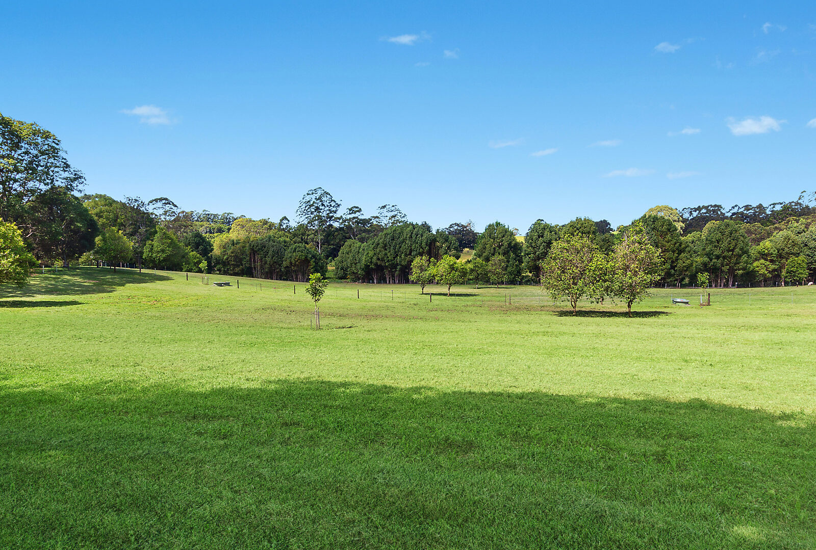 Sold - 204 Mcleans Ridges Road - New Property in McLeans Ridges - Real Estate by Bill Johnston