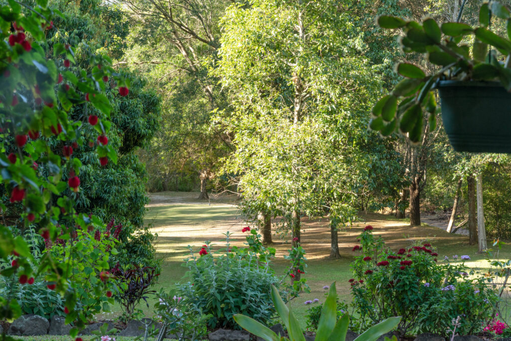 Sold - 5 Coolamon Avenue - New Property in Mullumbimby - Real Estate by Heidi Last