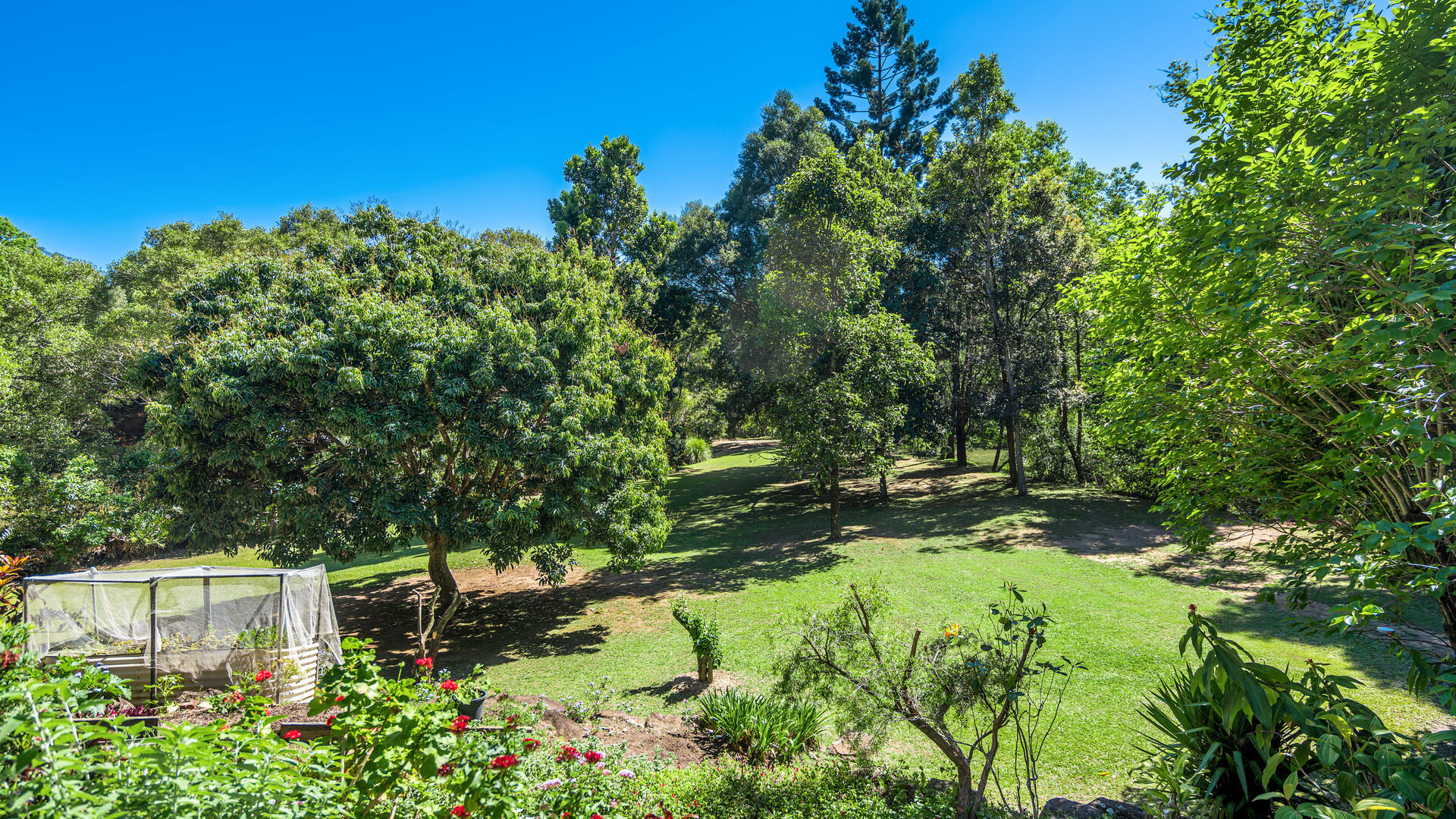 Sold - 5 Coolamon Avenue - New Property in Mullumbimby - Real Estate by Heidi Last