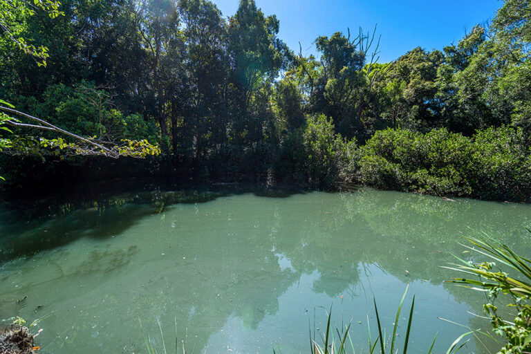 Sold - 5 Coolamon Avenue - New Property in Mullumbimby - Real Estate by Heidi Last