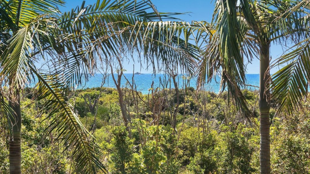 Sold - 14/7-21 Cavvanbah Street - New Property in Byron Bay - Real Estate by Ian Daniels