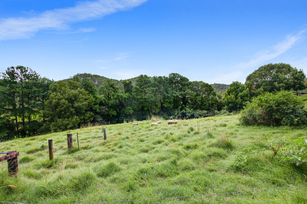 Sold - 702 Tamarind Drive - New Property in Cumbalum - Real Estate by Adam & Maxine Gaiter