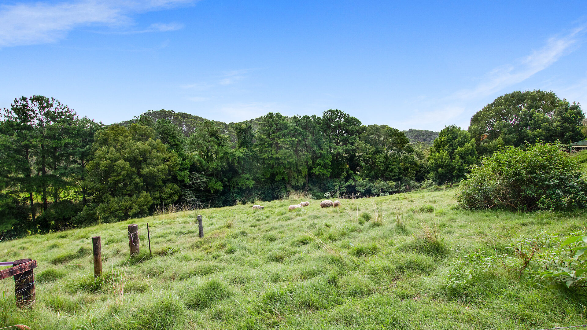 Sold - 702 Tamarind Drive - New Property in Cumbalum - Real Estate by Adam & Maxine Gaiter