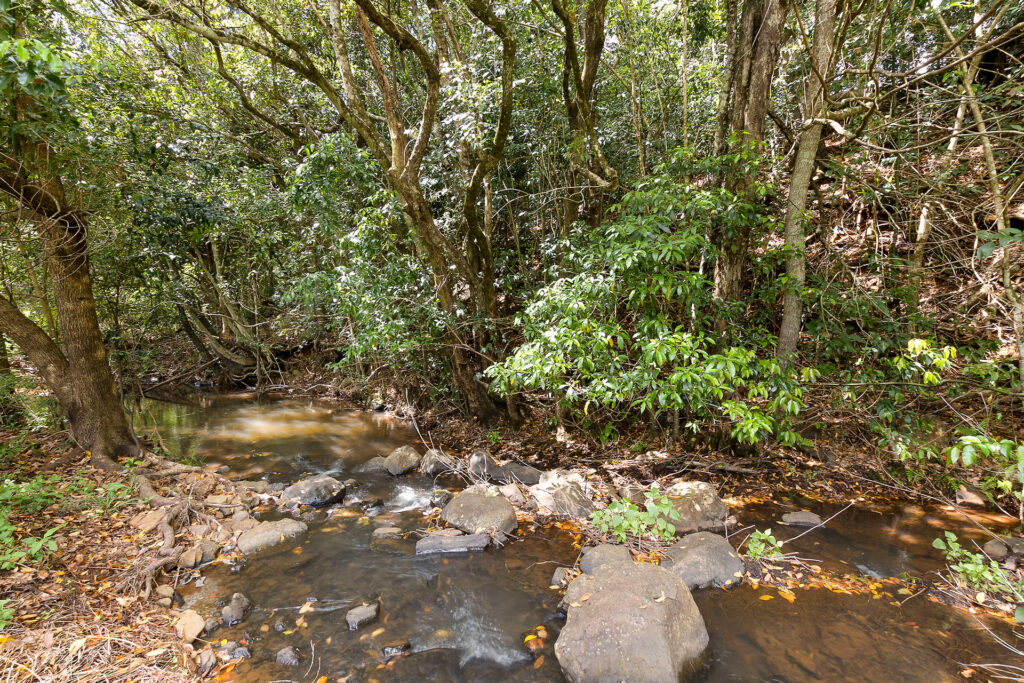 Sold - 690 Cowlong Road - New Property in Eltham - Real Estate by Bill Johnston
