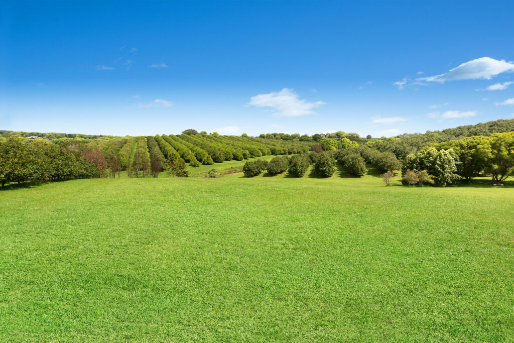 Sold - 690 Cowlong Road - New Property in Eltham - Real Estate by Bill Johnston