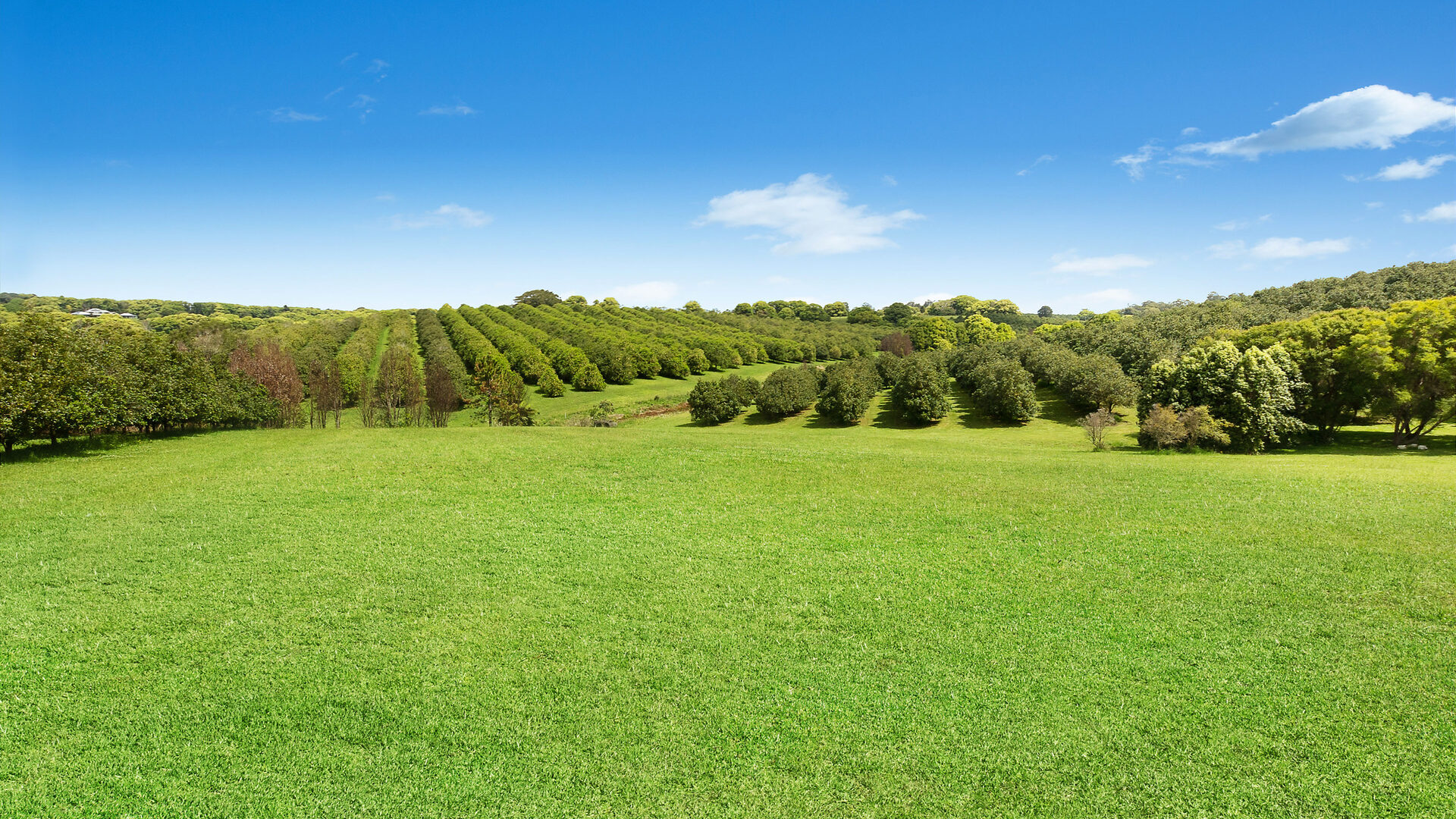 Sold - 690 Cowlong Road - New Property in Eltham - Real Estate by Bill Johnston