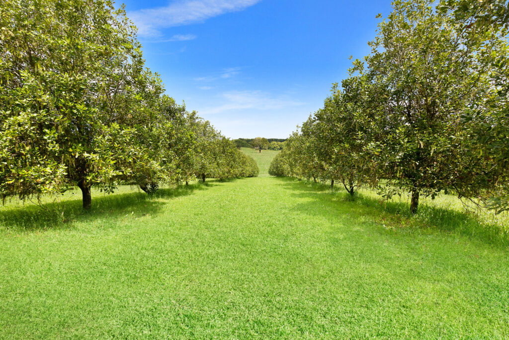 Sold - 690 Cowlong Road - New Property in Eltham - Real Estate by Bill Johnston