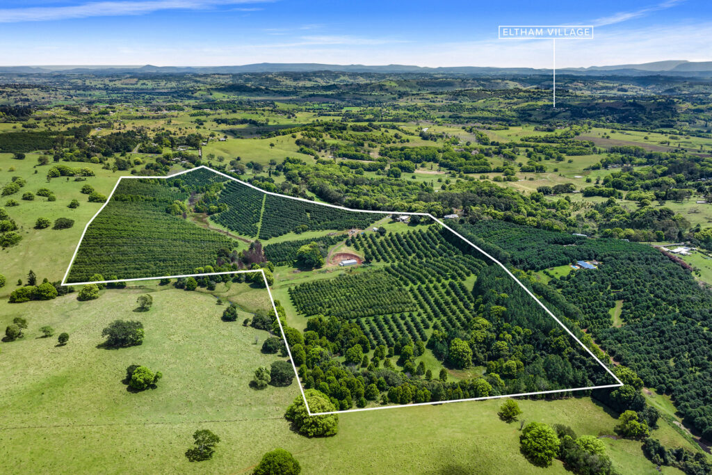 Sold - 690 Cowlong Road - New Property in Eltham - Real Estate by Bill Johnston