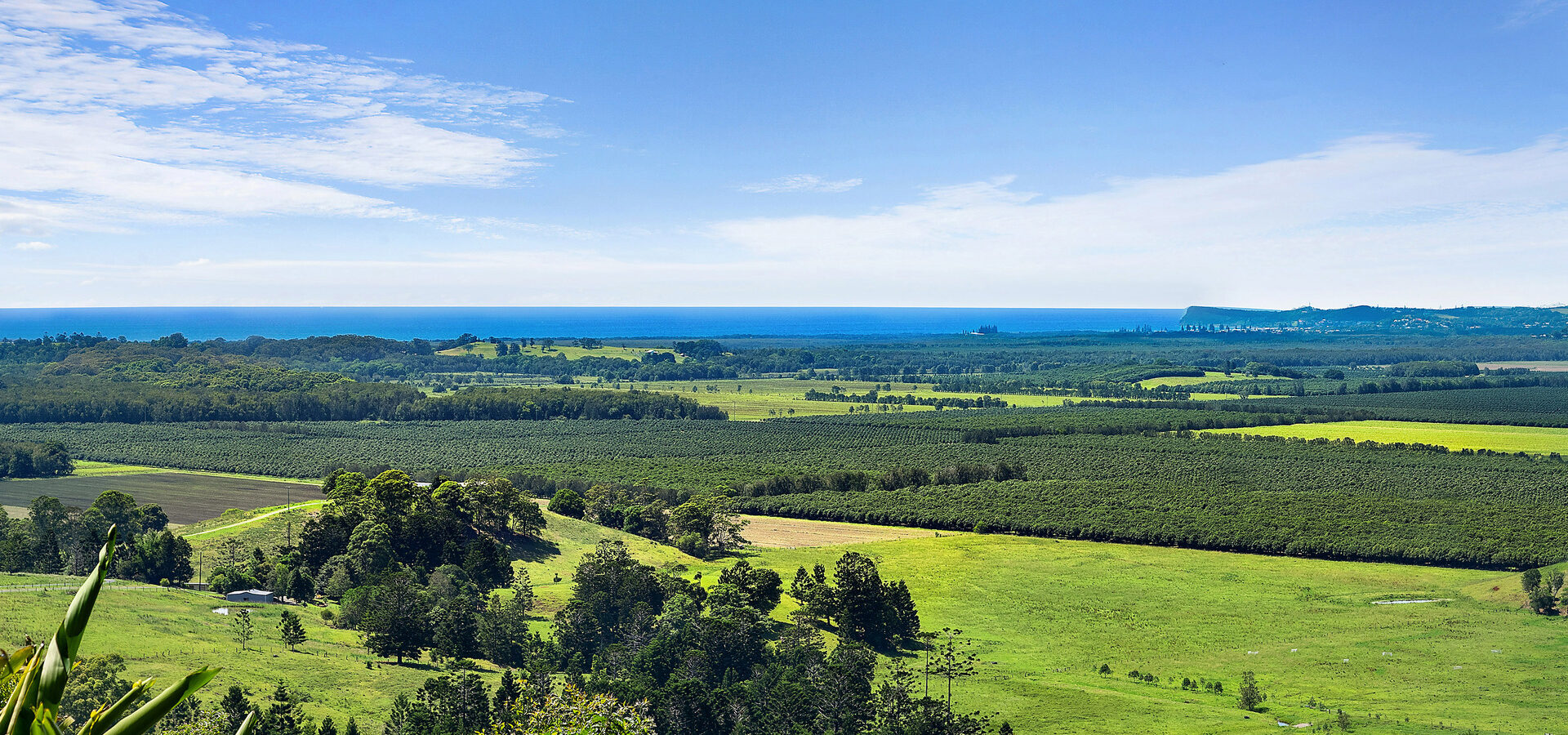 Sold - 318 Old Byron Bay Road - New Property in Newrybar - Real Estate by Nick Dunn