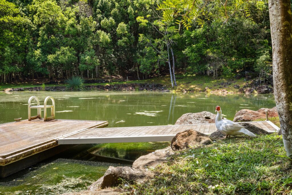 Sold - 142 Coorabell Road - New Property in Federal - Real Estate by Ian Daniels