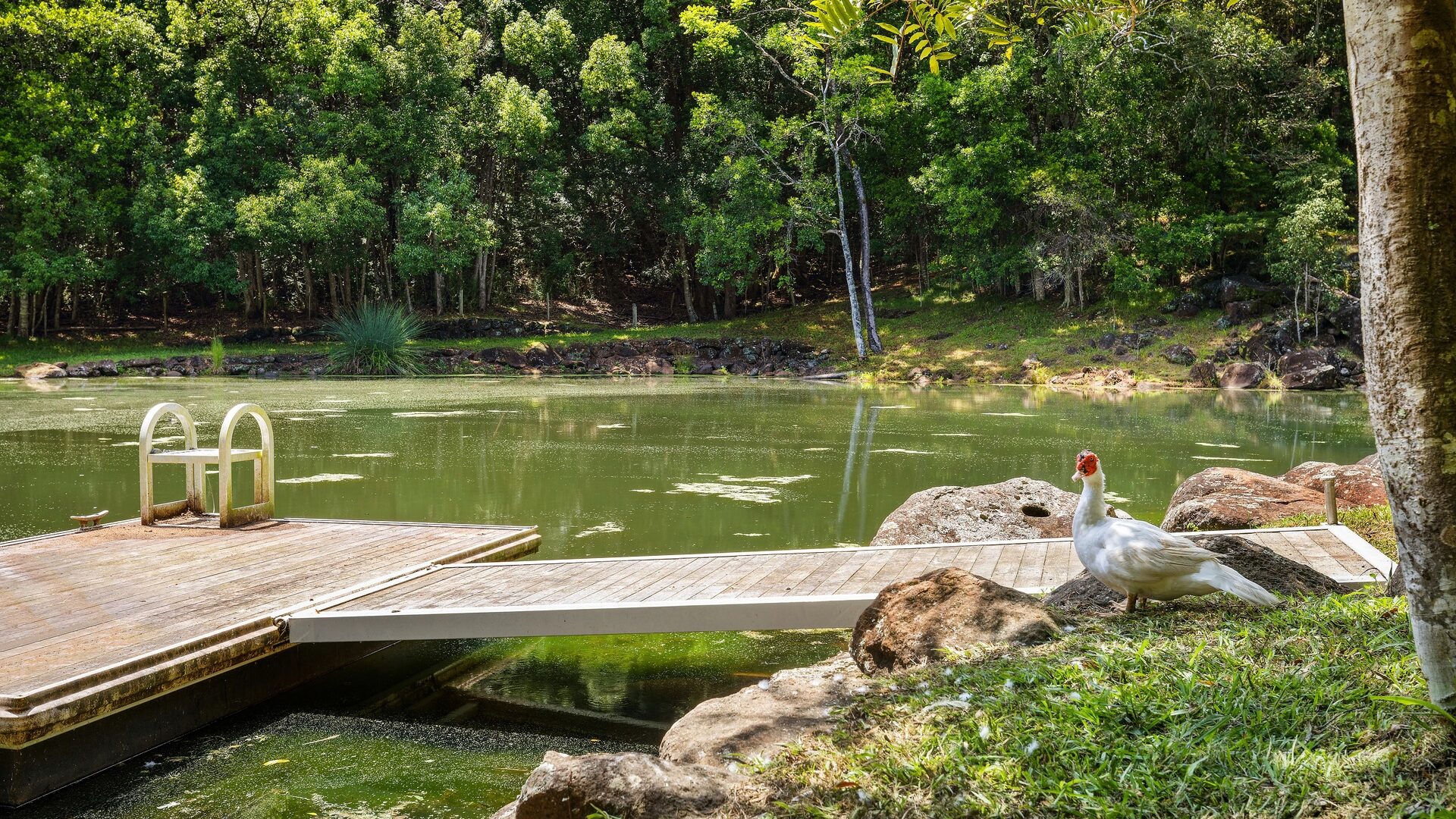 Sold - 142 Coorabell Road - New Property in Federal - Real Estate by Ian Daniels