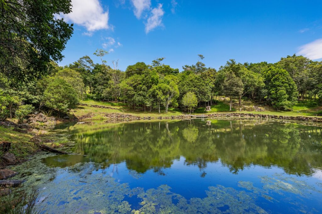 Sold - 142 Coorabell Road - New Property in Federal - Real Estate by Ian Daniels