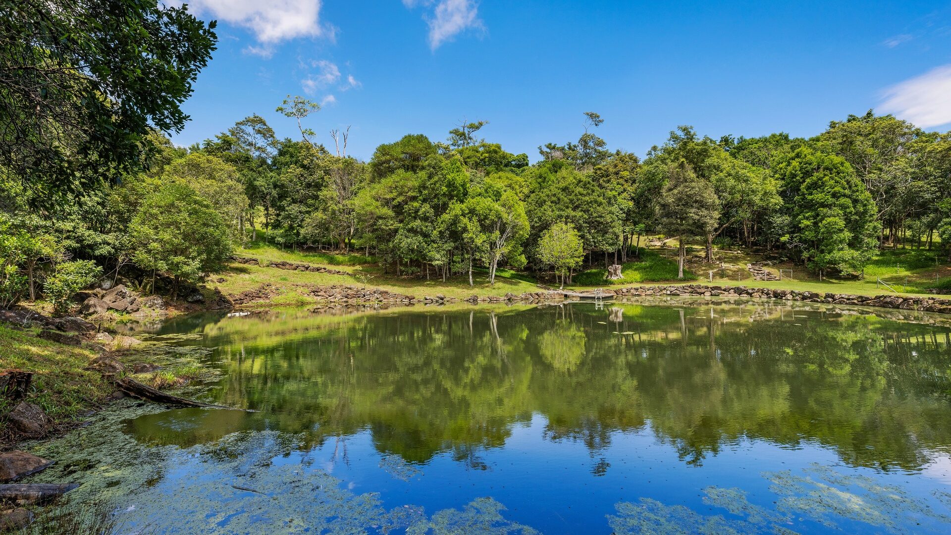 Sold - 142 Coorabell Road - New Property in Federal - Real Estate by Ian Daniels
