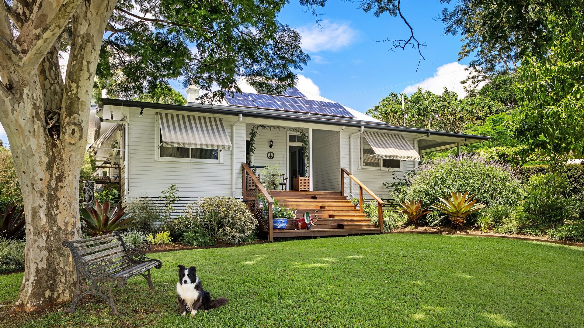 Sold - 142 Coorabell Road - New Property in Federal - Real Estate by Ian Daniels
