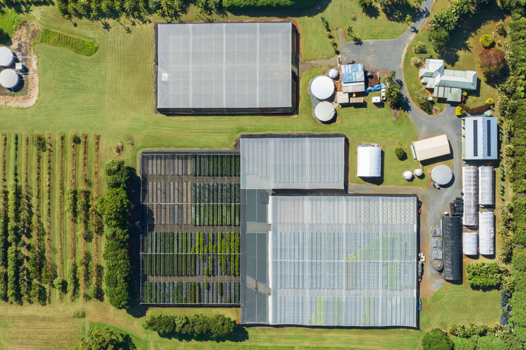 Sold - 1261 Teven Road - New Property in Alstonville - Real Estate by Bill Johnston