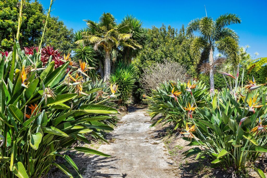 Sold - 149 The Manse Road - New Property in Myocum - Real Estate by McGrath 