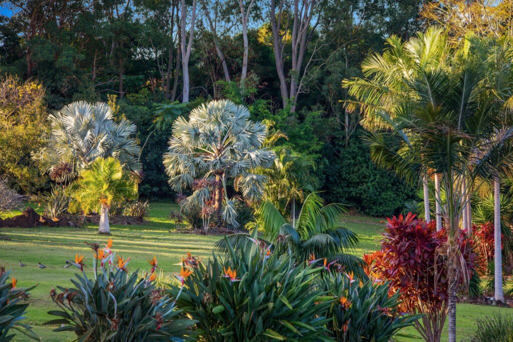 Sold - 149 The Manse Road - New Property in Myocum - Real Estate by McGrath 