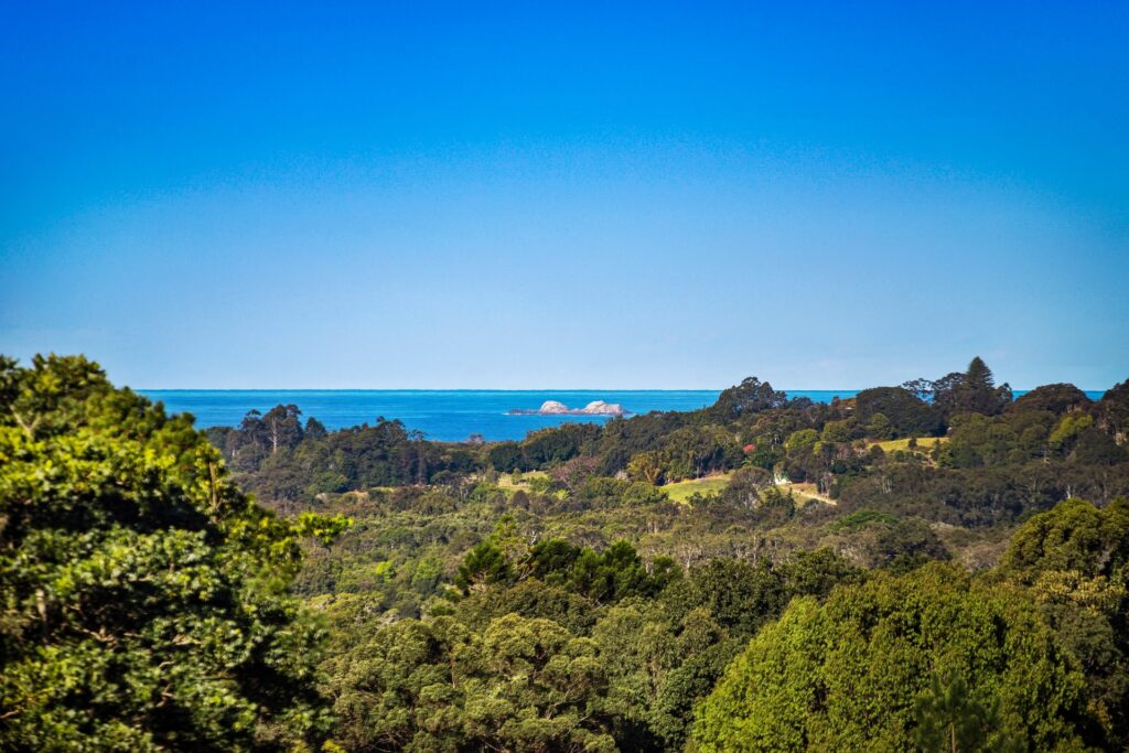 Sold - 149 The Manse Road - New Property in Myocum - Real Estate by McGrath 